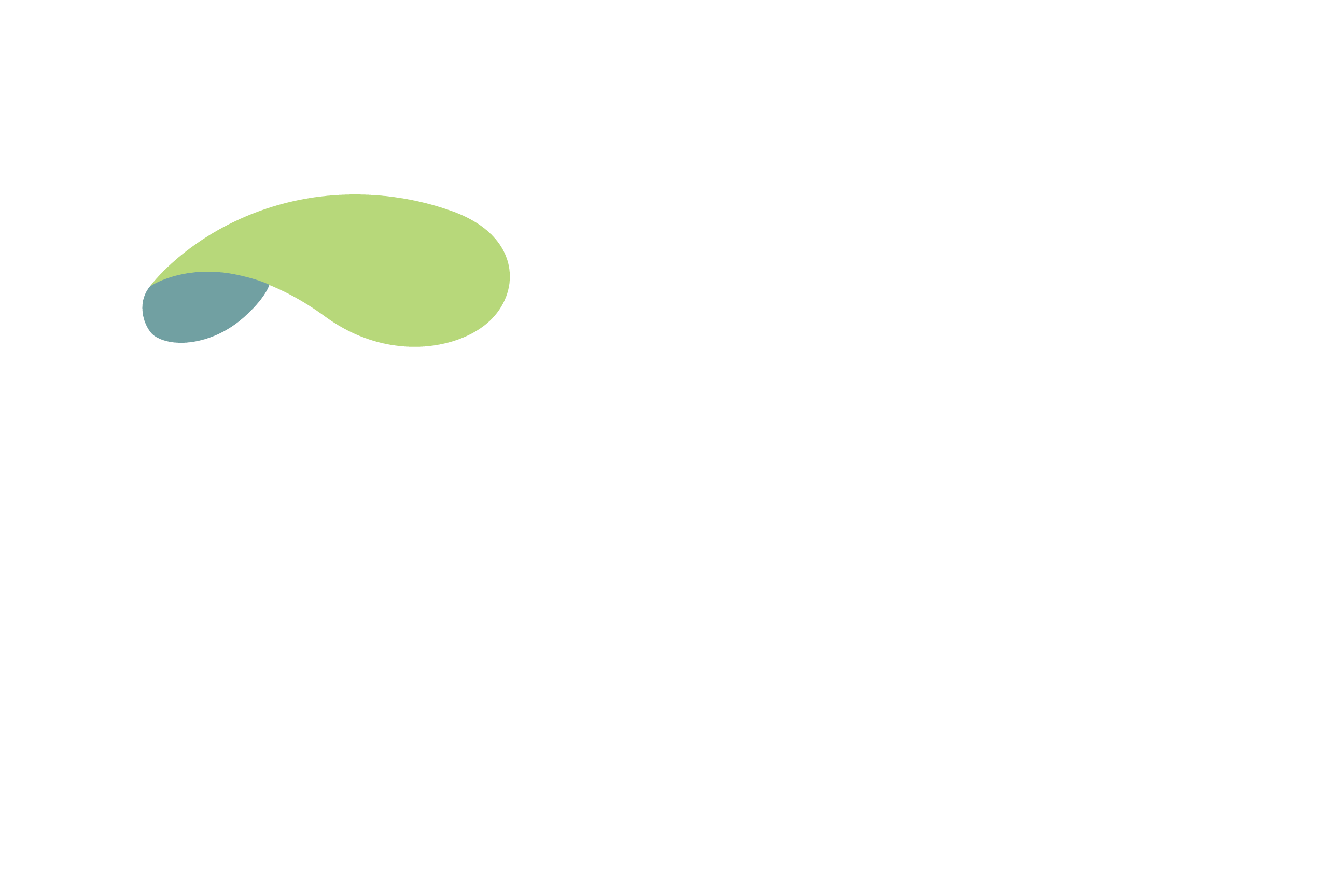 Fidelity Insurance